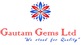 Gautam Gems Ltd Q1FY25 net profit at Rs. 6.41 lakhs